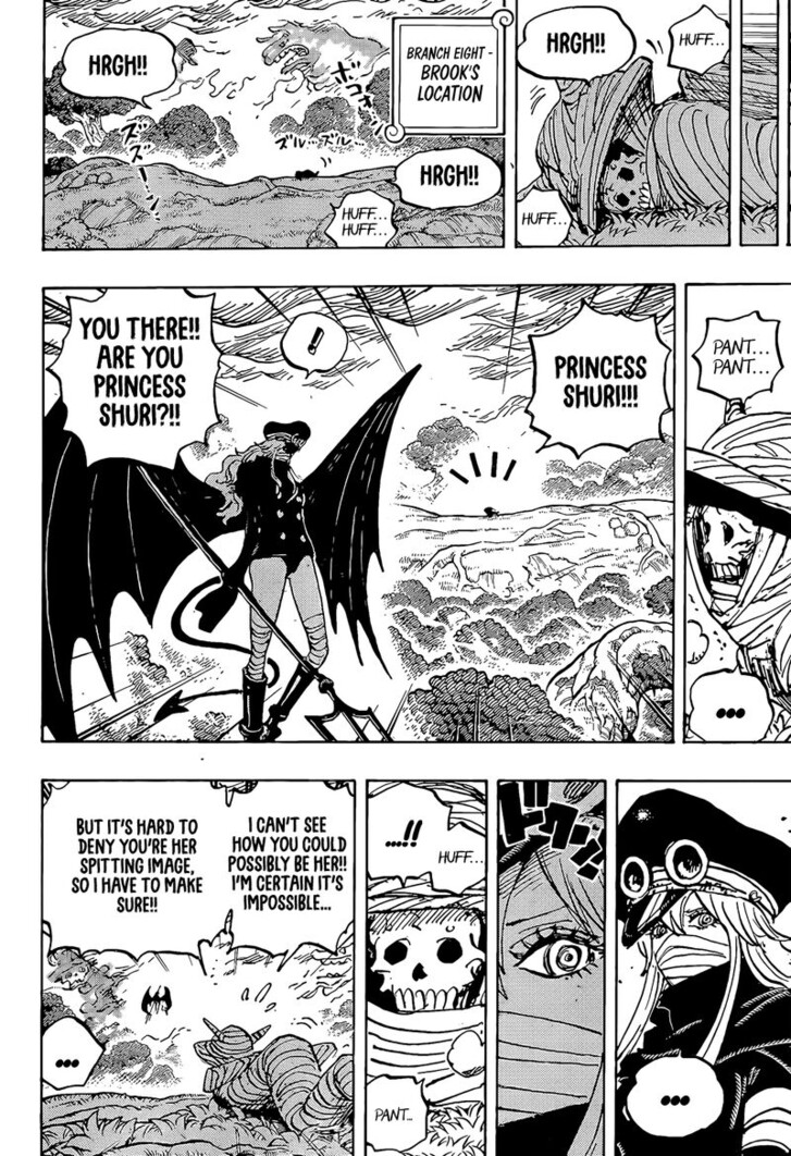 One Piece - Chapter 1173.1 - Page 5